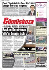 GÜMÜŞKOZA