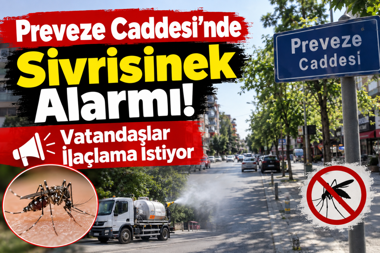 Preveze Caddesi’nde Sivrisinek Alarmı! Vatandaşlar İlaçlama İstiyor
