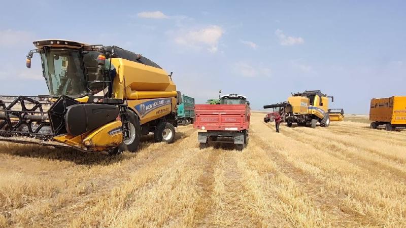 TÜRKİYE’NİN TARIM ÜRÜNLERİ İHRACATI TÜM ZAMANLARIN EN YÜKSEK SEVİYESİNDE